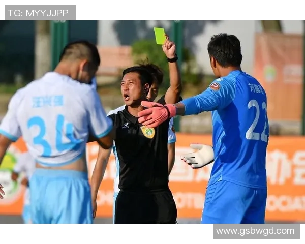 韩磊足球之路：从草根球员到国家队明星的奋斗历程与心路历程